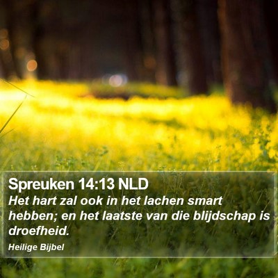 Spreuken 14:13 NLD Bible Verse Image