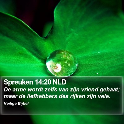 Spreuken 14:20 NLD Bible Verse Image