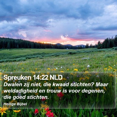 Spreuken 14:22 NLD Bible Verse Image