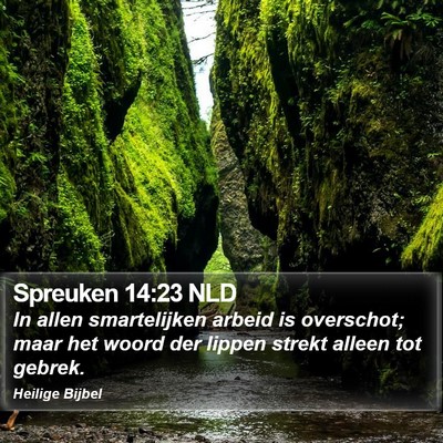 Spreuken 14:23 NLD Bible Verse Image