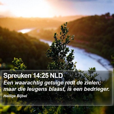 Spreuken 14:25 NLD Bible Verse Image