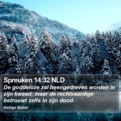 Spreuken 14:32 NLD Bible Verse Image