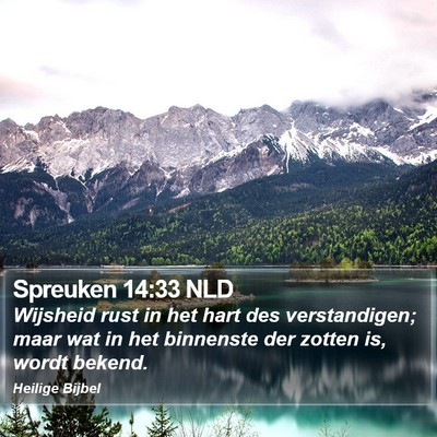 Spreuken 14:33 NLD Bible Verse Image