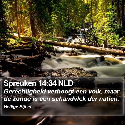 Spreuken 14:34 NLD Bible Verse Image