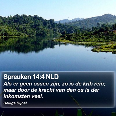 Spreuken 14:4 NLD Bible Verse Image