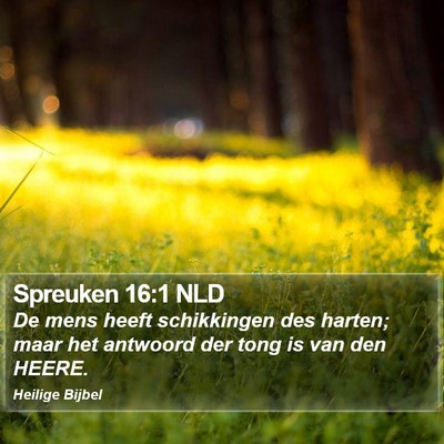 Spreuken 16:1 NLD Bible Verse Image