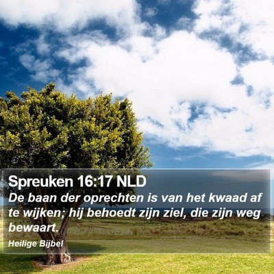 Spreuken 16:17 NLD Bible Verse Image