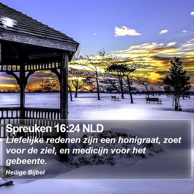 Spreuken 16:24 NLD Bible Verse Image