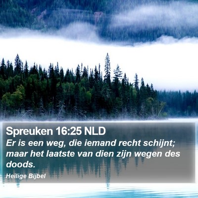 Spreuken 16:25 NLD Bible Verse Image