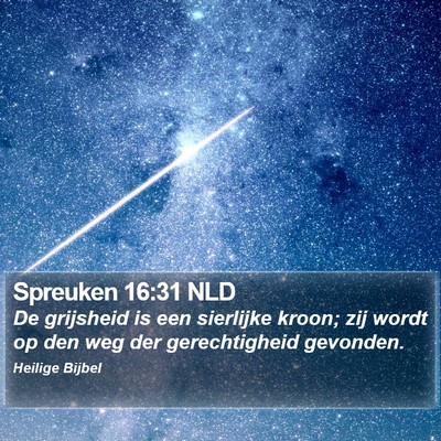 Spreuken 16:31 NLD Bible Verse Image