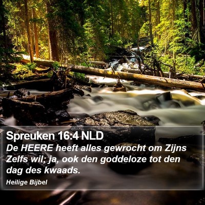 Spreuken 16:4 NLD Bible Verse Image
