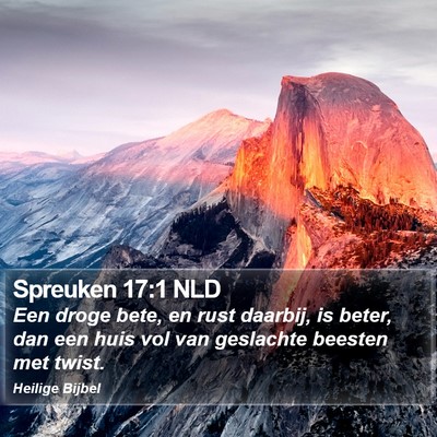 Spreuken 17:1 NLD Bible Verse Image