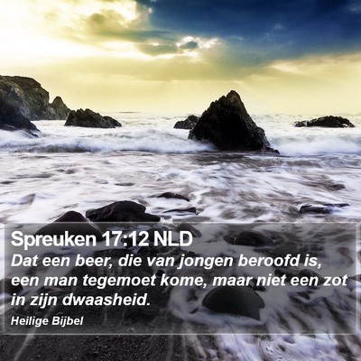 Spreuken 17:12 NLD Bible Verse Image