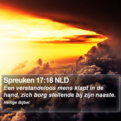 Spreuken 17:18 NLD Bible Verse Image