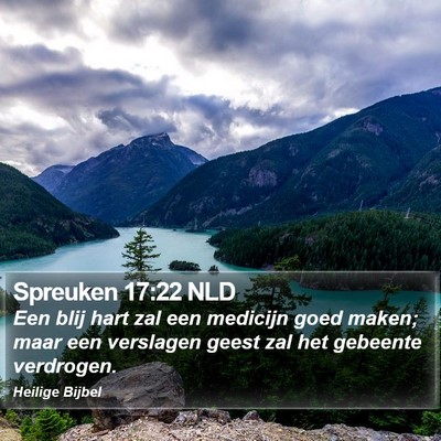 Spreuken 17:22 NLD Bible Verse Image