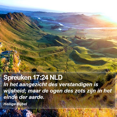 Spreuken 17:24 NLD Bible Verse Image