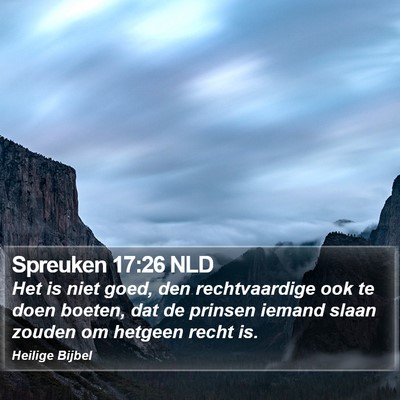 Spreuken 17:26 NLD Bible Verse Image