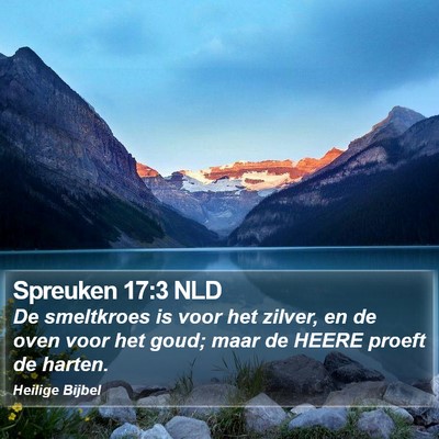 Spreuken 17:3 NLD Bible Verse Image