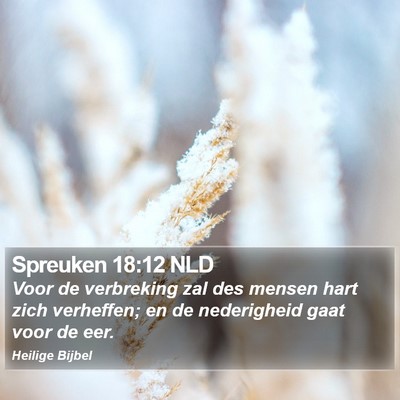Spreuken 18:12 NLD Bible Verse Image