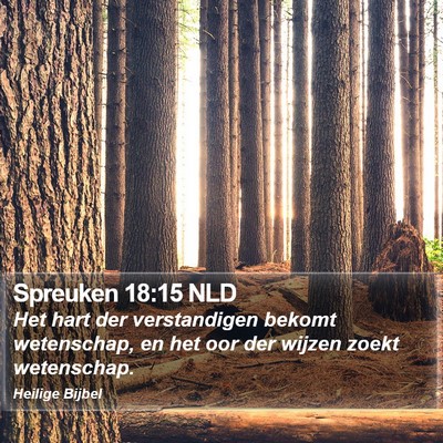 Spreuken 18:15 NLD Bible Verse Image
