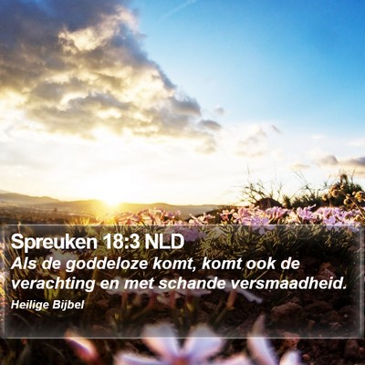 Spreuken 18:3 NLD Bible Verse Image