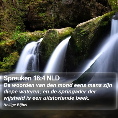 Spreuken 18:4 NLD Bible Verse Image