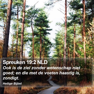Spreuken 19:2 NLD Bible Verse Image