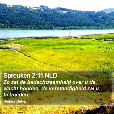 Spreuken 2:11 NLD Bible Verse Image