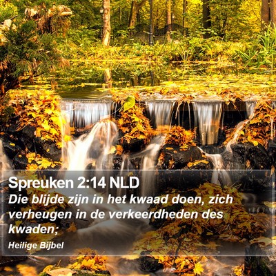 Spreuken 2:14 NLD Bible Verse Image