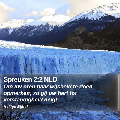 Spreuken 2:2 NLD Bible Verse Image