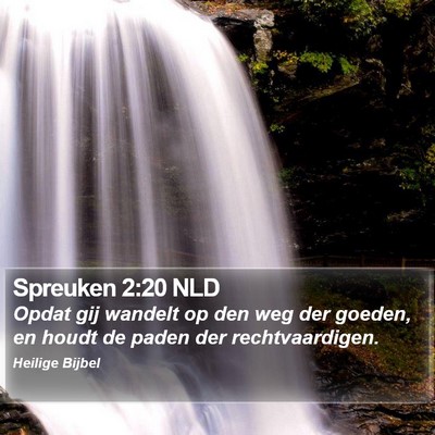 Spreuken 2:20 NLD Bible Verse Image