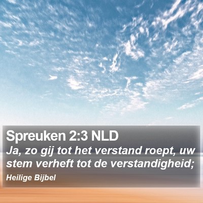 Spreuken 2:3 NLD Bible Verse Image