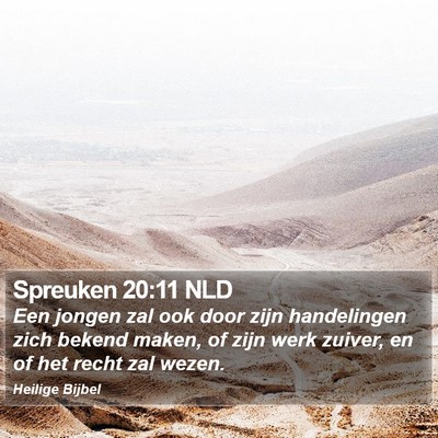 Spreuken 20:11 NLD Bible Verse Image