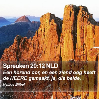 Spreuken 20:12 NLD Bible Verse Image