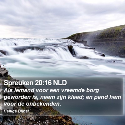 Spreuken 20:16 NLD Bible Verse Image