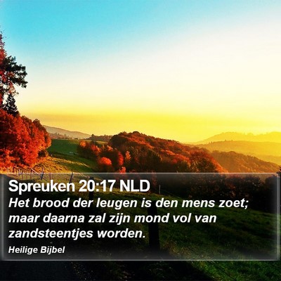 Spreuken 20:17 NLD Bible Verse Image