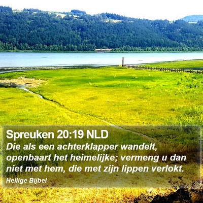Spreuken 20:19 NLD Bible Verse Image