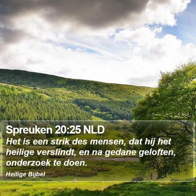 Spreuken 20:25 NLD Bible Verse Image