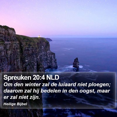 Spreuken 20:4 NLD Bible Verse Image