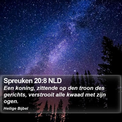 Spreuken 20:8 NLD Bible Verse Image