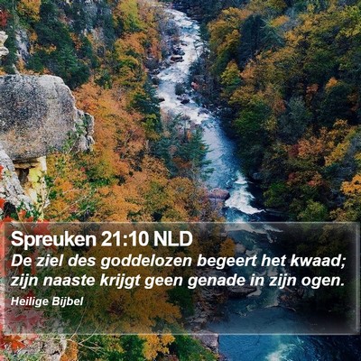 Spreuken 21:10 NLD Bible Verse Image