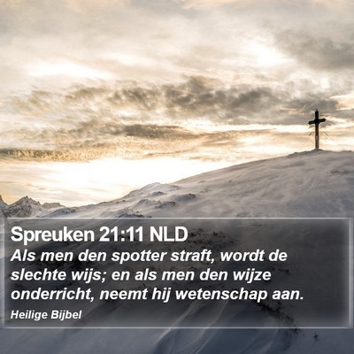 Spreuken 21:11 NLD Bible Verse Image