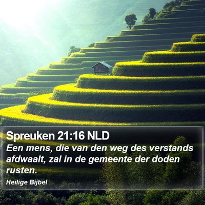 Spreuken 21:16 NLD Bible Verse Image