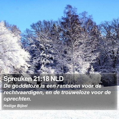 Spreuken 21:18 NLD Bible Verse Image