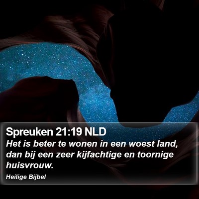 Spreuken 21:19 NLD Bible Verse Image