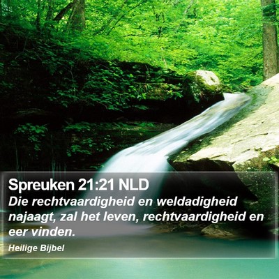 Spreuken 21:21 NLD Bible Verse Image
