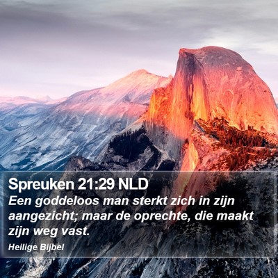 Spreuken 21:29 NLD Bible Verse Image