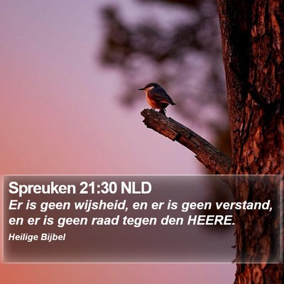 Spreuken 21:30 NLD Bible Verse Image