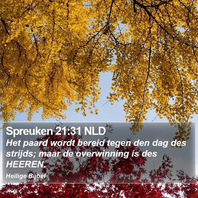 Spreuken 21:31 NLD Bible Verse Image
