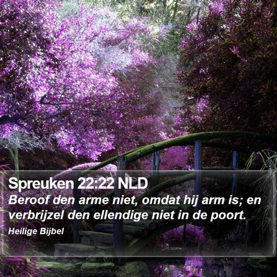 Spreuken 22:22 NLD Bible Verse Image